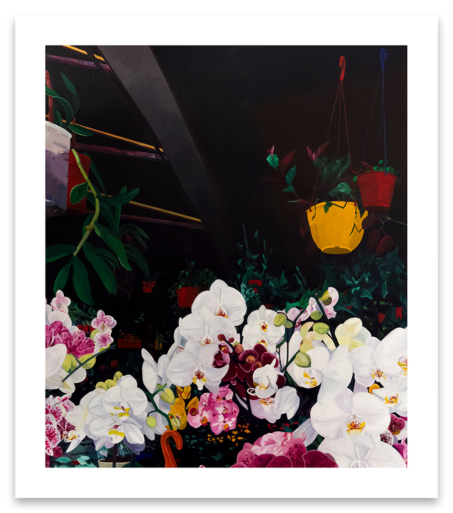 painting of a group of orchids against a dark background by Francisco Diaz Scotto