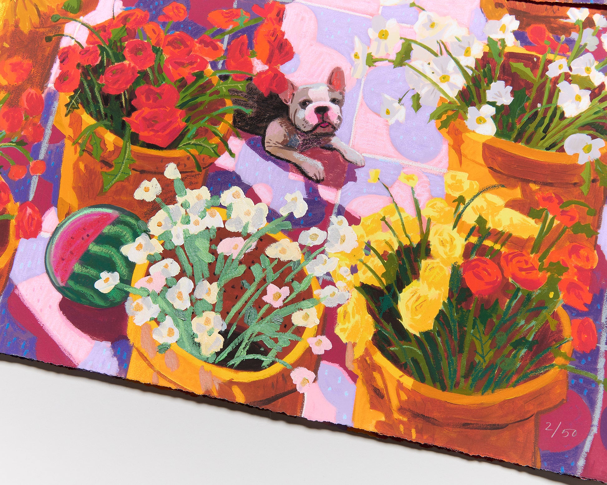 Nicholas Bono Kennedy - flower pots filled with colorful flowers on pink and purple tiles