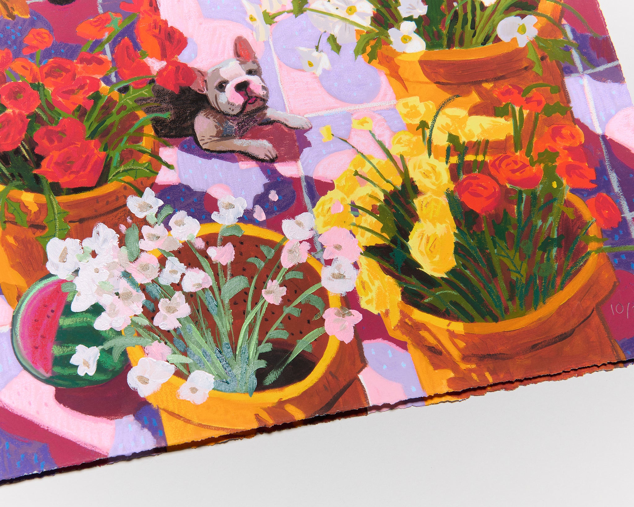 Nicholas Bono Kennedy - flower pots filled with colorful flowers on pink and purple tiles