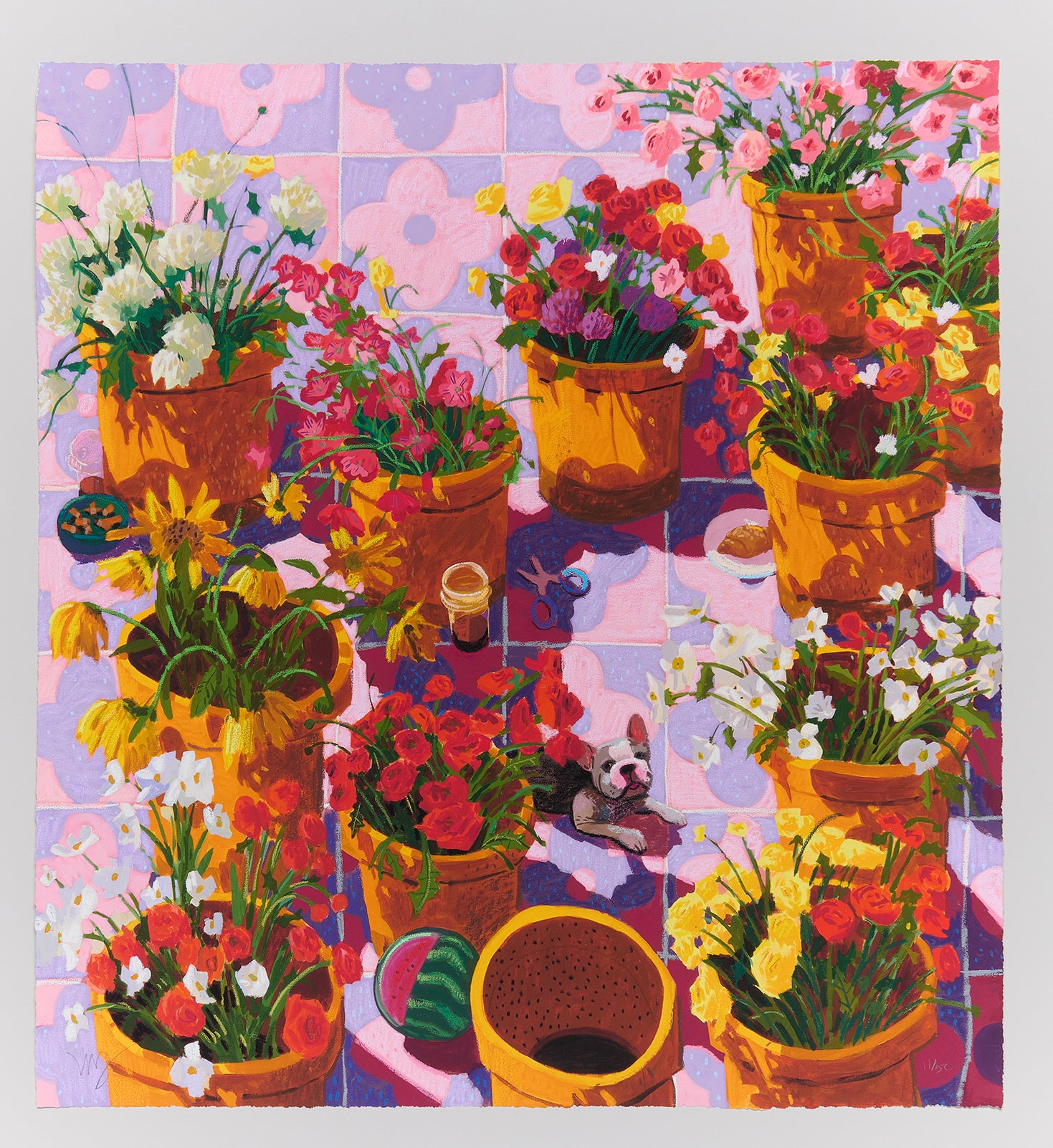 Nicholas Bono Kennedy - flower pots filled with colorful flowers on pink and purple tiles