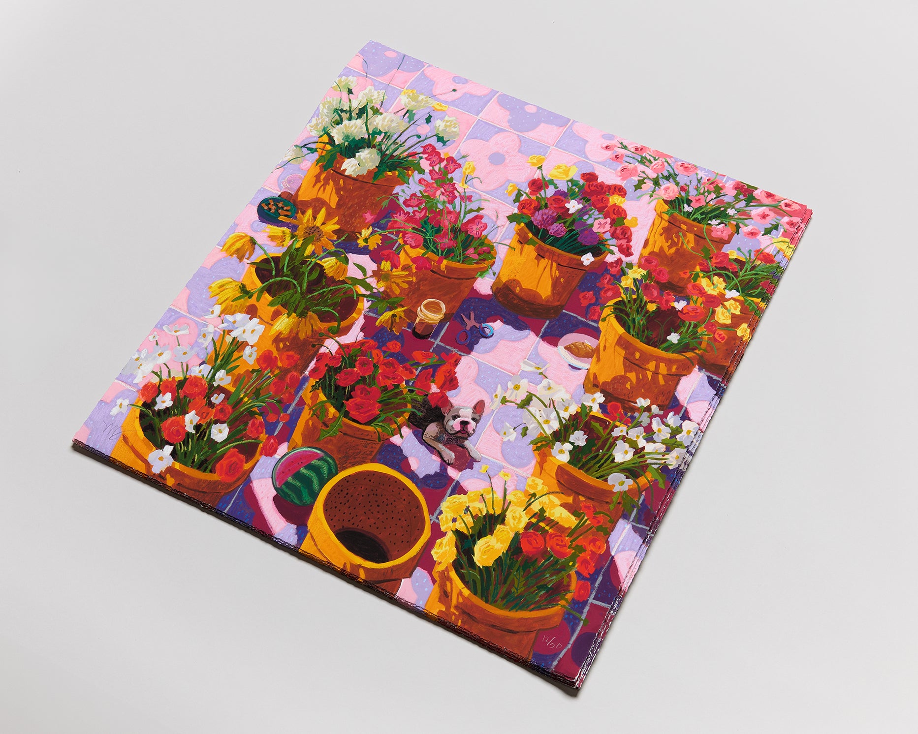 Nicholas Bono Kennedy - flower pots filled with colorful flowers on pink and purple tiles