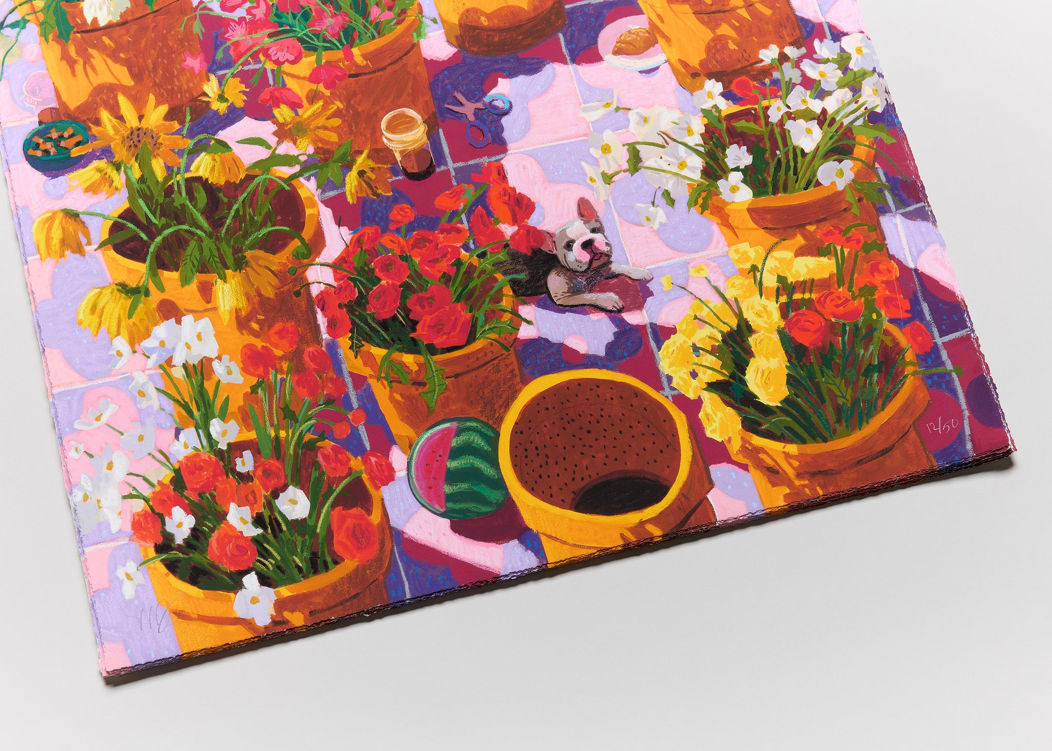 Nicholas Bono Kennedy - flower pots filled with colorful flowers on pink and purple tiles