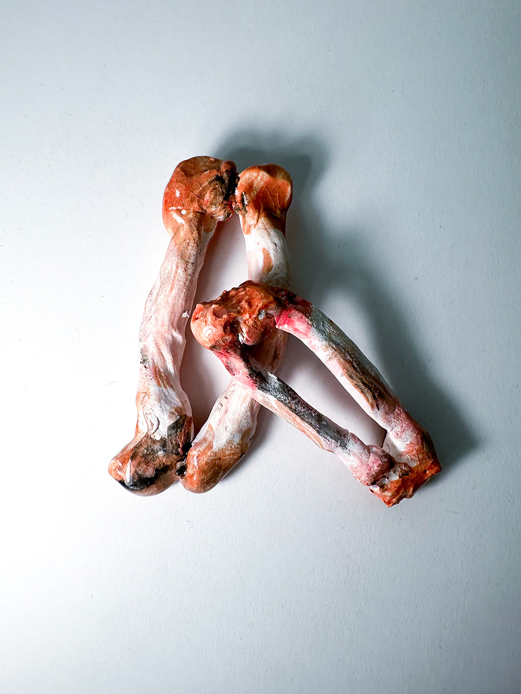 Ceramic sculpture of chicken bones