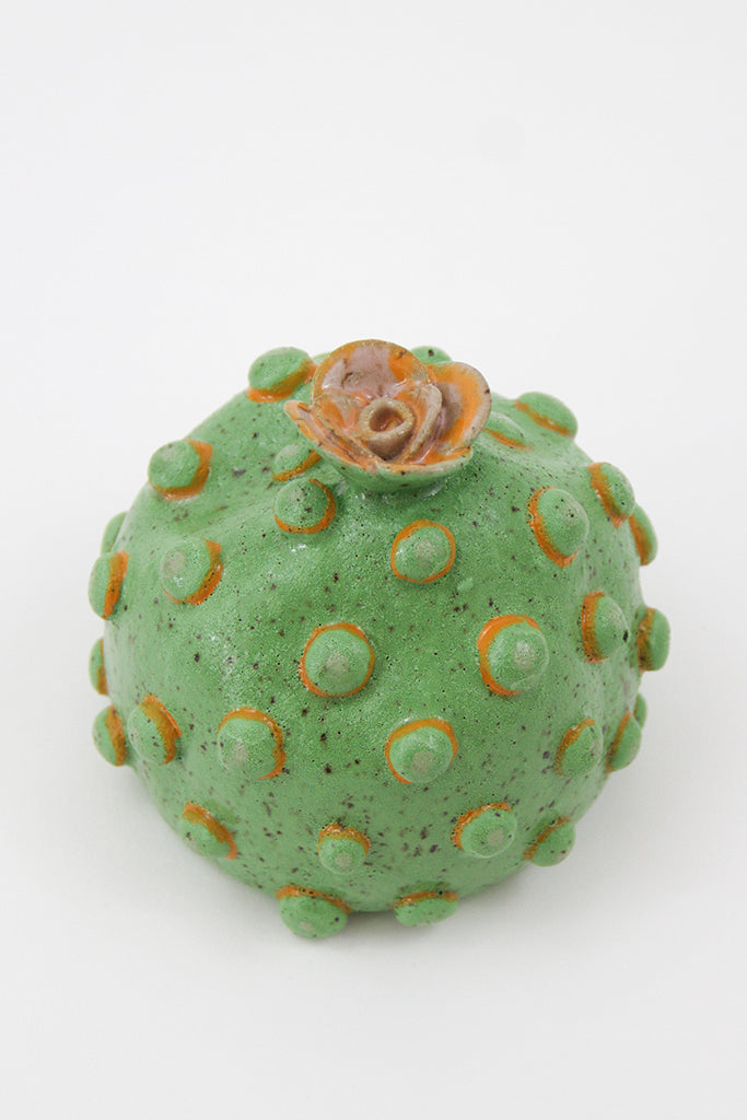 Jen Dwyer - "Speckled Green Dot Plant"